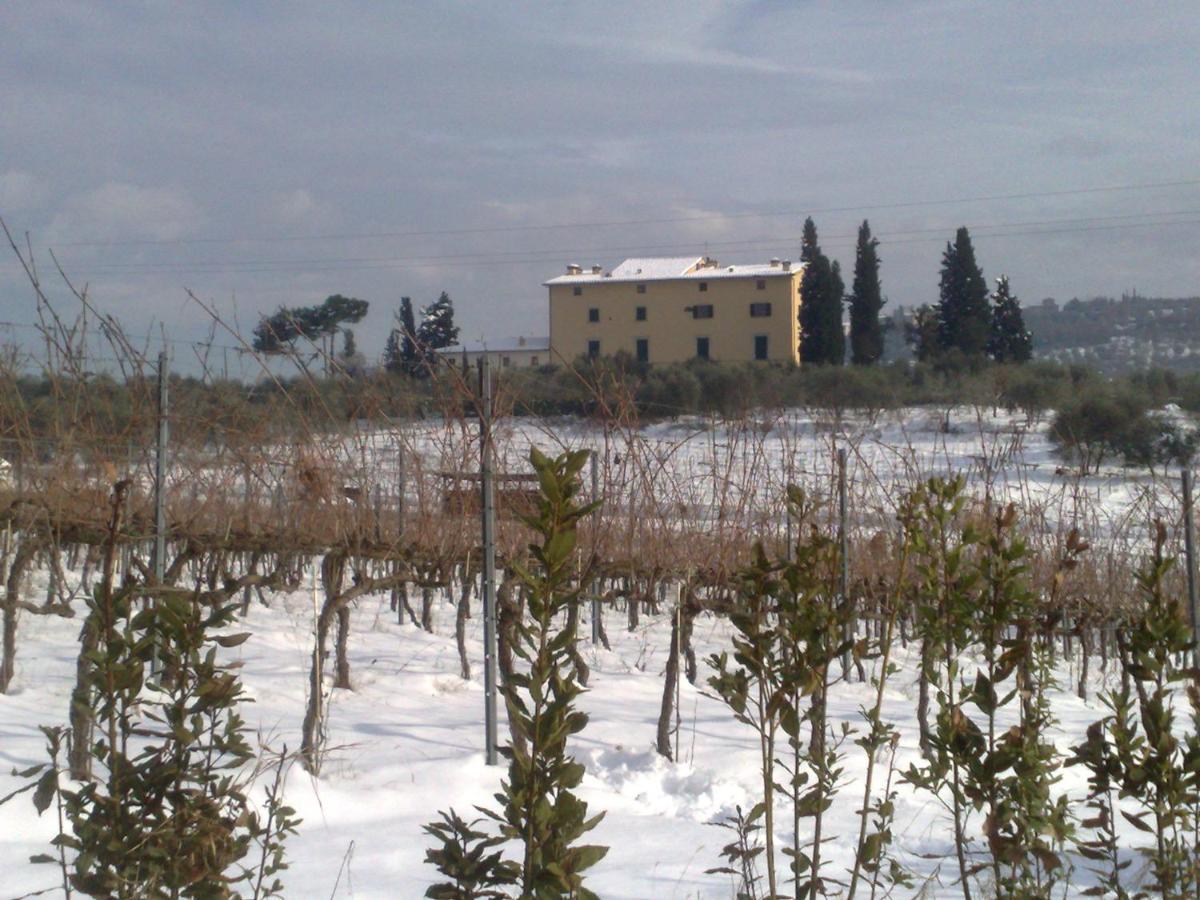 Гостьовий будинок La Capannaccia Скандіччі Екстер'єр фото